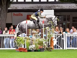 Grey horse jumping a fence at the dublin horse show